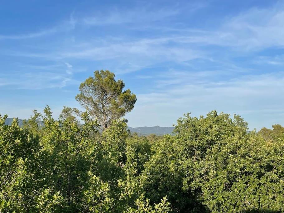 Villa Piscine - Gorges Du Verdon, Lac De Sainte-Croix Régusse Eksteriør billede